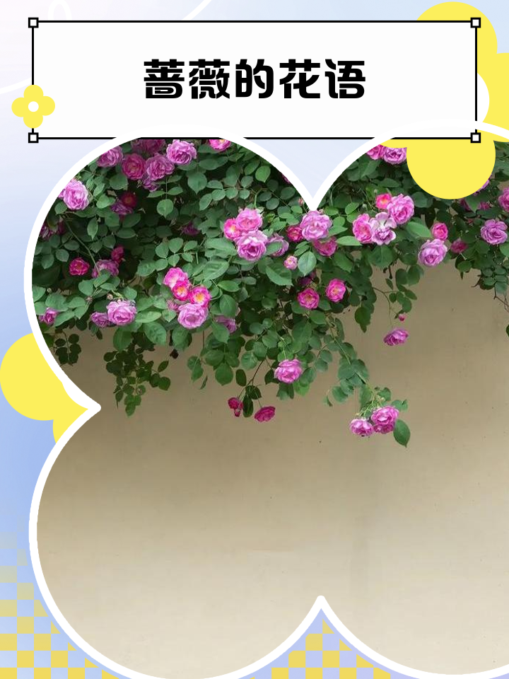 2025年9月 第2页
