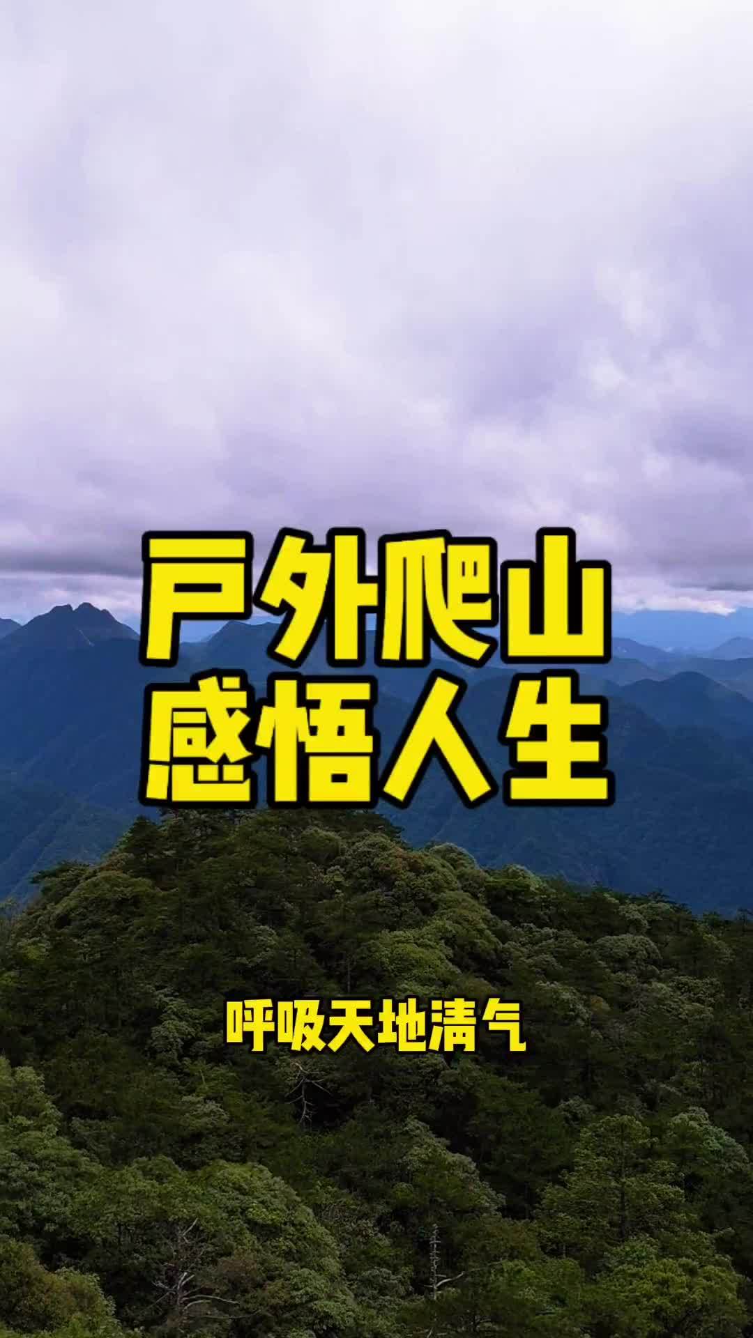 人和木组成什么字