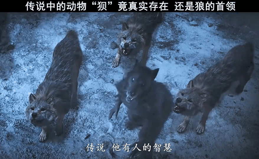 狼狈为犴是什么意思