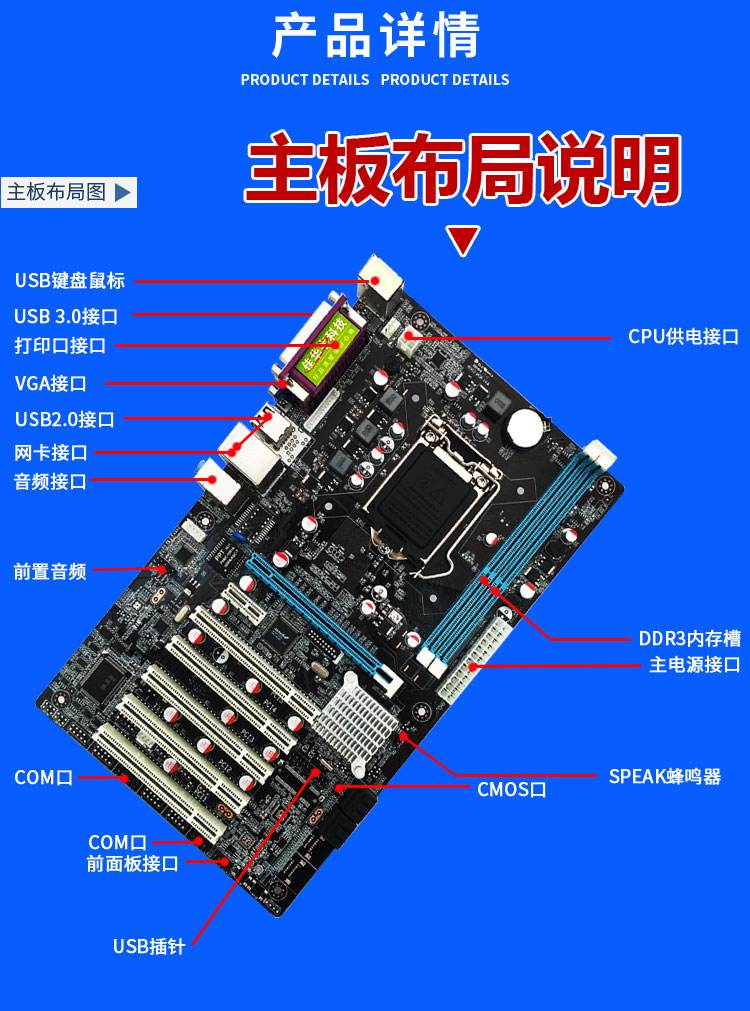 看点 第208页